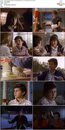 The Wonder Years S01-S06 NTSC DVD REMUX MPEG2 DD 2.0 Homecoming-Rmp4L