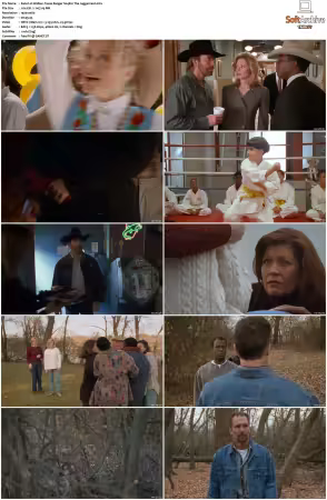 Walker Texas Ranger 1993 S01-S09 1080p WEB-DL H265 10bit DDP2.0-Zero00