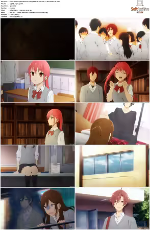 Horimiya S01 2021 1080p Web-DL AVC AAC 2.0 Dual Audio-ZR
