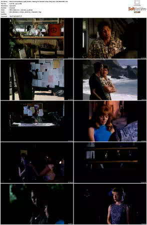 China Beach 1988 S01-S04 1080p H265 AAC 2CH-MNKYDDL