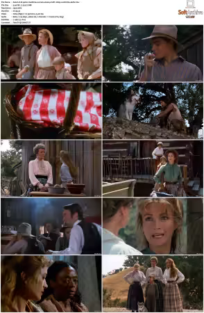 Dr Quinn Medicine Woman S01 MULTi 1080p WEB H264-UKDTV