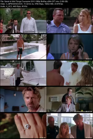 Wild Things Foursome 2010 1080p BluRay x264-OFT