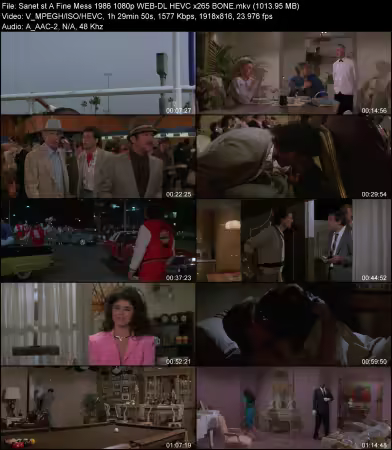 A Fine Mess 1986 1080p WEB-DL HEVC x265 BONE