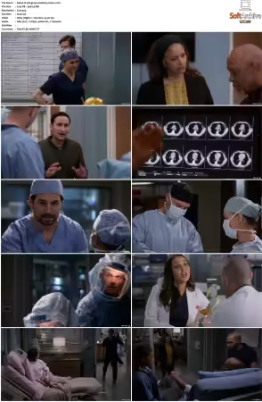 Greys Anatomy S16 DVDRip x264-PFa