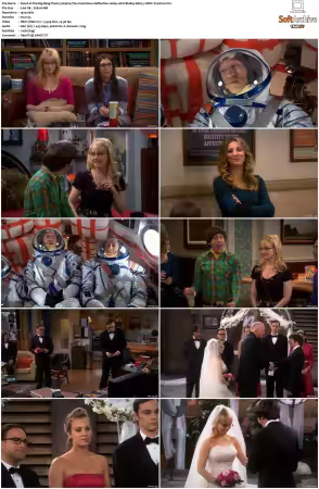 The Big Bang Theory 2007 Season 5 S05 1080p BluRay x265 HEVC 10bit AAC 5.1 Vyndros