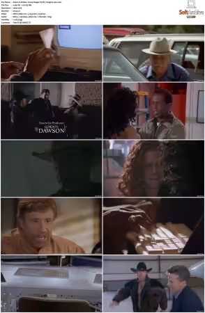 Walker Texas Ranger 1993 S01-S09 1080p WEB-DL H265 10bit DDP2.0-Zero00
