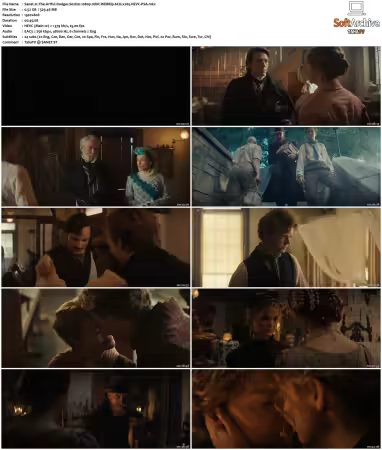 The Artful Dodger S02 1080p 10bit WEBRip 6CH x265 HEVC-PSA