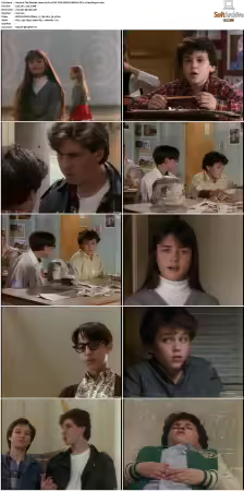 The Wonder Years S01 S06 NTSC DVD REMUX MPEG2 DD 2 0 Homecoming-Rmp4L