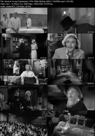 Young Frankenstein 1974 1080p BluRay x265 5.1-RARBG