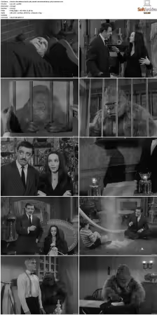 The Addams Family 1964 S01-S02 REMASTERED BDRip x264-BROADCAST