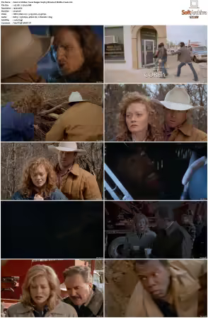 Walker Texas Ranger 1993 S01-S09 1080p WEB-DL H265 10bit DDP2.0-Zero00