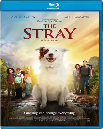 The Stray 2017 1080p BluRay x264-OFT