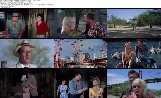 Shotgun Wedding 1963 1080p WEB H264-AMORT