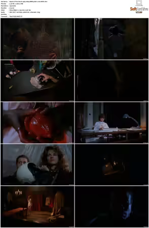 The Church 1989 1080p BRRip AAC H264-XBiTs