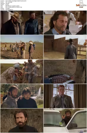 Walker Texas Ranger 1993 S01-S09 1080p WEB-DL H265 10bit DDP2.0-Zero00