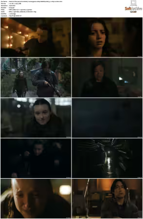 The Last of Us S01 S02 1080p WebRip EAC3 51 x265-Lootera