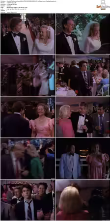 The Wonder Years S01-S06 NTSC DVD REMUX MPEG2 DD 2.0 Homecoming-Rmp4L