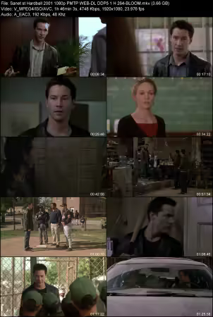 Hardball 2001 1080p PMTP WEB-DL DDP 5.1 H264-BLOOM