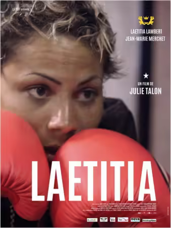 Laetitia 2016 1080p TV5M WEB-DL AAC2 0 H 264-playWEB