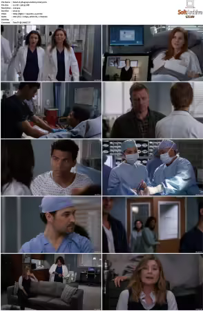 Greys Anatomy S16 DVDRip x264-PFa