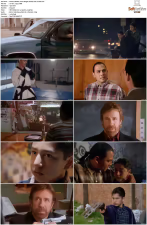 Walker Texas Ranger 1993 S01-S09 1080p WEB-DL H265 10bit DDP2.0-Zero00