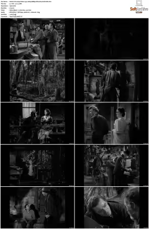 Swamp Water 1941 1080p BDRip DTS H264-PoPCoRn