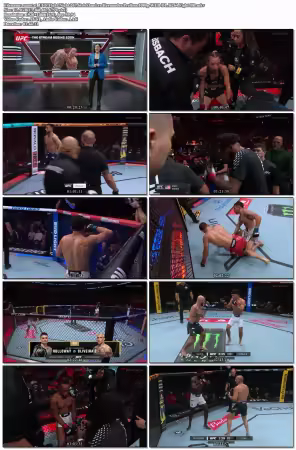 UFC Fight Night 267 Strickland vs Hernandez Prelims 1080p WEB-DL H264 Fight-BB