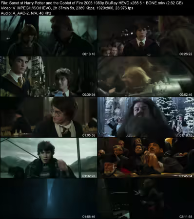 Harry Potter and the Goblet of Fire 2005 1080p BluRay HEVC x265 5.1 BONE
