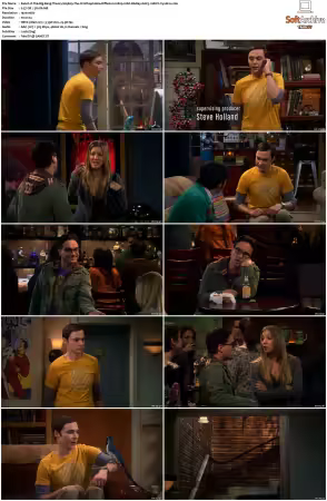 The Big Bang Theory 2007 Season 5 S05 1080p BluRay x265 HEVC 10bit AAC 5.1 Vyndros