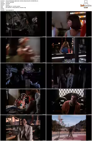 China Beach 1988 S01-S04 1080p H265 AAC 2CH-MNKYDDL