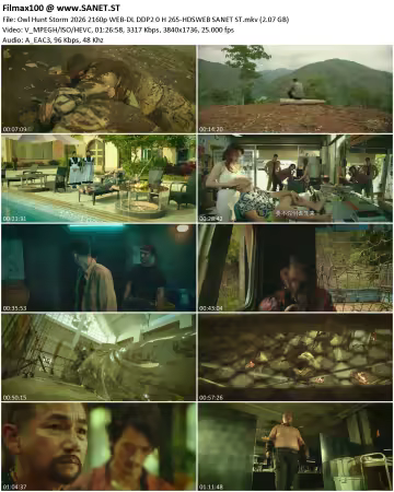 Owl Hunt Storm 2026 2160p WEB-DL DDP2.0 H265-HDSWEB