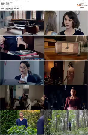 Fi S01 TURKISH 1080p NF WEB-DL DDP2.0 x264-TEPES