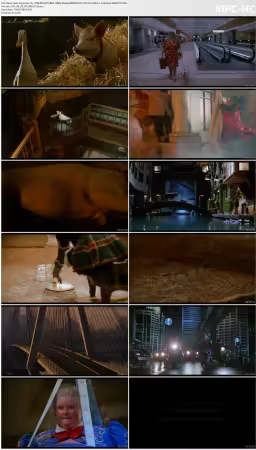 Babe Pig in the City 1998 REMASTERED 1080p BluRay REMUX AVC DTS-HD-MA 5.1-UnKn0wn