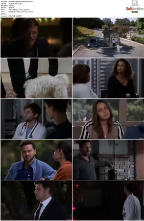 Greys Anatomy S16 DVDRip x264-PFa