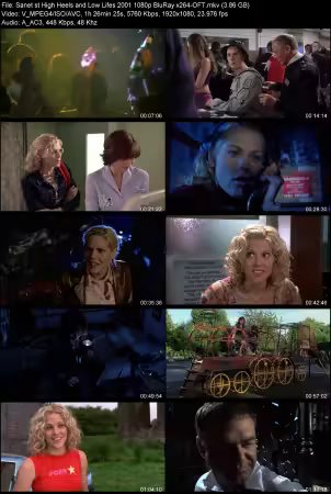High Heels and Low Lifes 2001 1080p BluRay x264-OFT