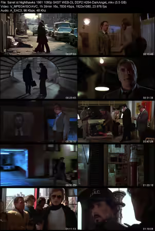 Nighthawks 1981 1080p SKST WEB-DL DDP 2.0 H264-DarkAngeL