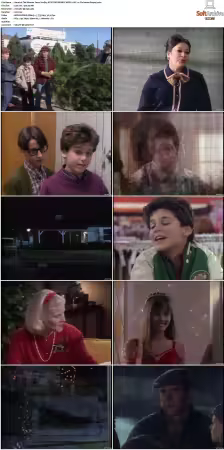 The Wonder Years S01 S06 NTSC DVD REMUX MPEG2 DD 2 0 Homecoming-Rmp4L