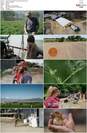 The American Farm S01 1080p WEB-DL DDP2.0 H264-TBS