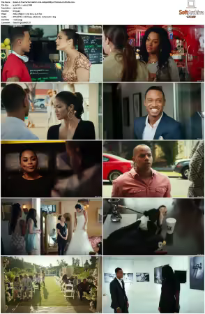 The Perfect Match 2016 1080p BDRip DTS H264-PoPCoRn