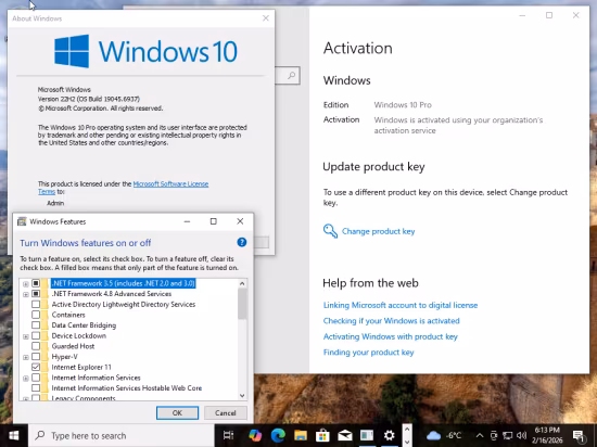 Windows 10 Pro 22H2 build 19045.6937 With Office 2024 Pro Plus Multilingual February 2026
