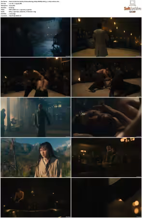 Warrior S01 S03 1080p WebRip EAC3 5.1 x265-Lootera