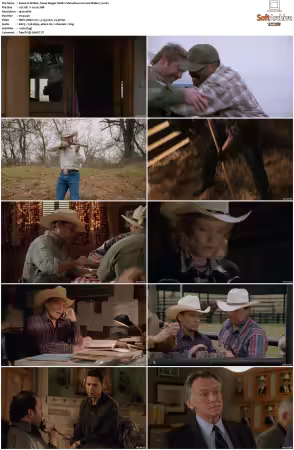 Walker Texas Ranger 1993 S01-S09 1080p WEB-DL H265 10bit DDP2.0-Zero00