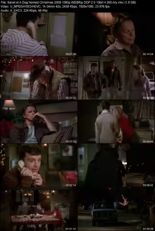 A Dog Named Christmas 2009 1080p WEBRip DDP 2.0 10bit H265-iVy