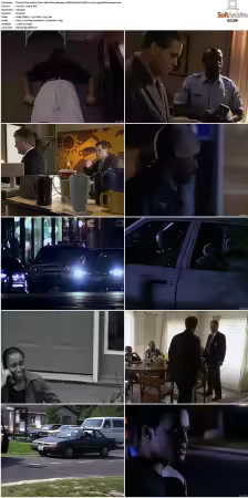 The F.B.I. Files S01 S07 AMZN WEB-DL DDP2.0 H264-playWEB