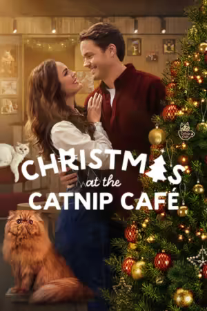 Christmas at the Catnip Cafe 2025 1080p WEBRip DDP 2.0 10bit H 265-iVy