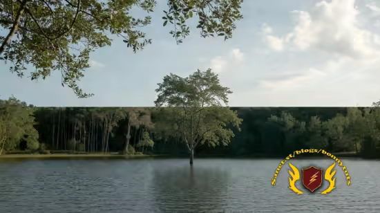 Composition in Photography: From Basics to Visual Mastery