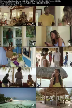 Caribbean Summer 2022 1080p WEBRip DDP 5.1 10bit H265-iVy