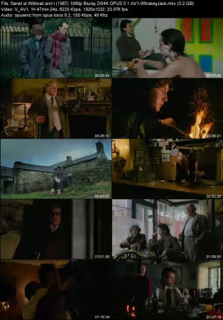 Withnail and I 1987 1080p Bluray DS4K OPUS 5.1 AV1-WhiskeyJack