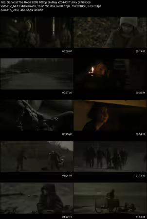 The Road 2009 1080p BluRay x264-OFT