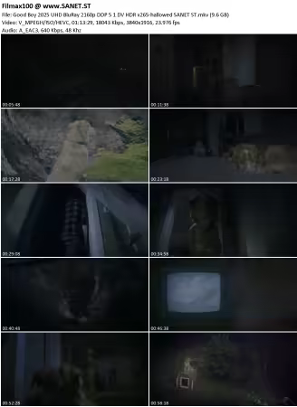 Good Boy 2025 UHD BluRay 2160p DDP 5.1 DV HDR x265-hallowed